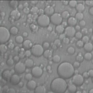 Particle Size Chromatography Beads