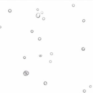 Mammalian Cell Analysis